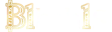 B1bahis logo